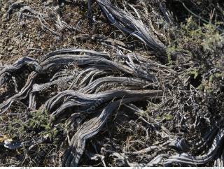 Photo of Mixed Textures